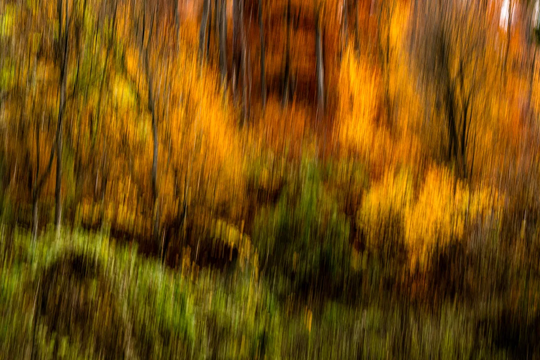 Természet és táj fotó